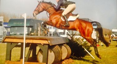 horse jumping fences