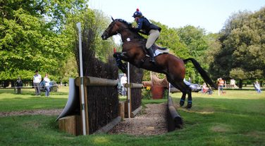 horse jumping fences