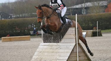 horse jumping fences
