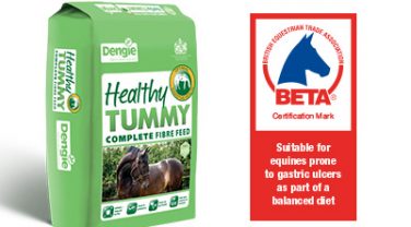healthy tummy fibre feed