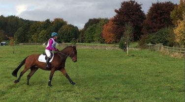 horse riding in field