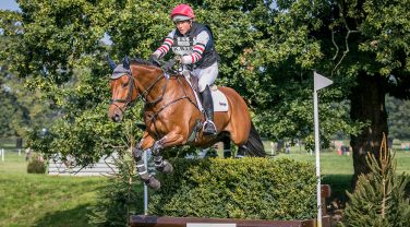 horse jumping fences