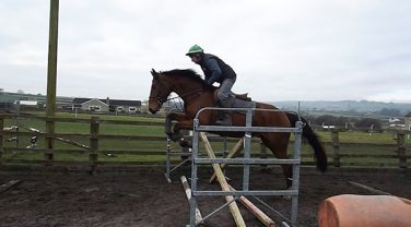 horse jumping fence