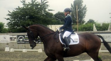 horse rider in paddock