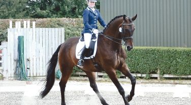 horse competing