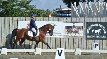 horse in competition