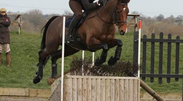 horse jumping fences