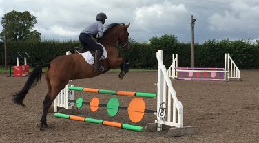horse jumping fences