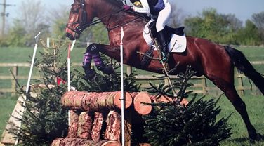 horse jumping fence