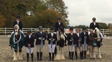 award winning horses