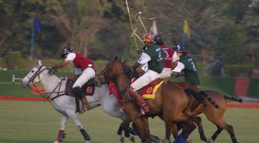 Horse Polo