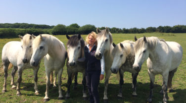 Dengie staff posing with Ponies in field