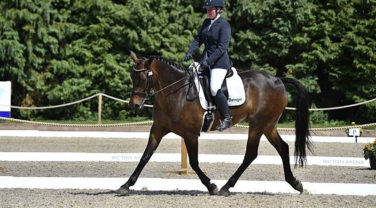 Trotting August
