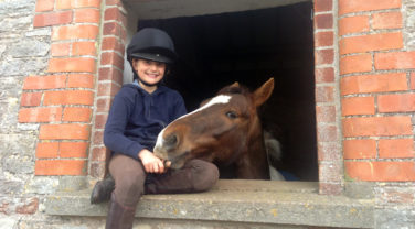 Horse Brick Window
