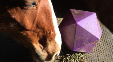 Stable Toy With Alfalfa Pellets