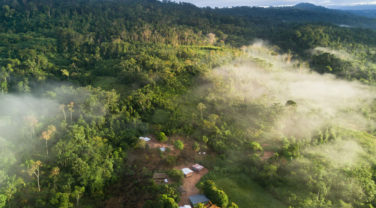 aerial view of rainforest