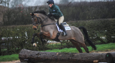 horse jumping cross country