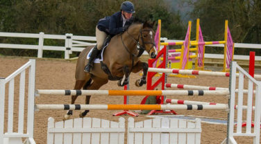 horse showjumping