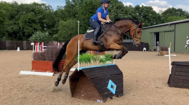 Horse and Rider Cross Country Training