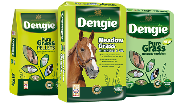 Dengie Horse Feeds Grass Range 2020