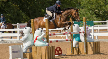 horse showjumping
