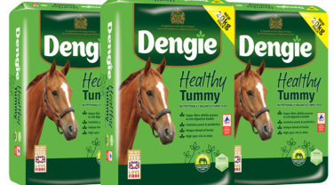 Healthy Tummy Group