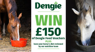 Win £150 giveaway for dengie vouchers